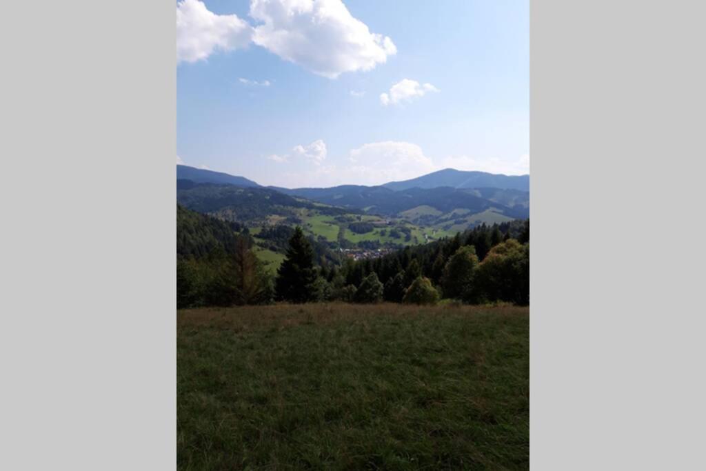 Horská turistika s domácí atmosférou Dolny Kubin Exterior foto